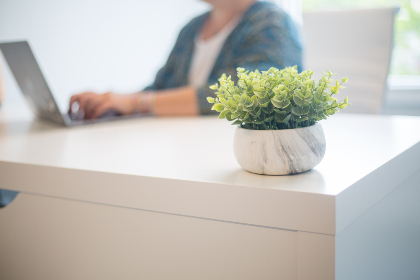 4月10日开奖日期临近敬请期待