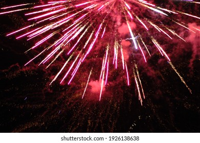 495555开奖结果最新公布，速来查看中奖详情！