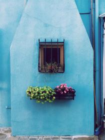 深入了解德克萨斯的娱乐文化与地方特色