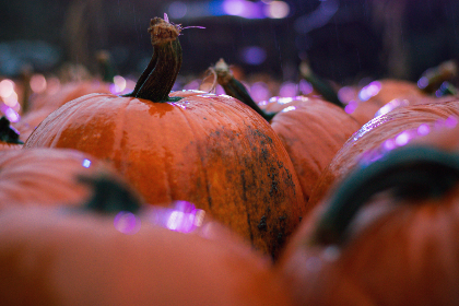 4加1开奖结果最新公布今日幸运号码揭晓