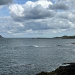 4kjcom开奖直播最新现场实况全程高清在线观看 wggjooc