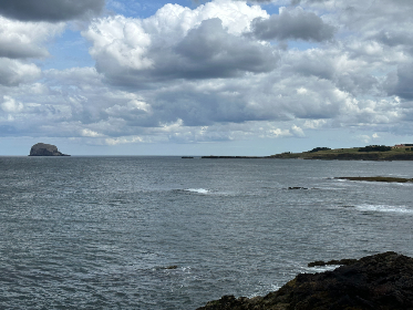 4kjcom开奖直播最新现场实况全程高清在线观看