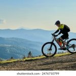 深入了解水晶宫平台的社区文化与用户互动方式 xmr6bg