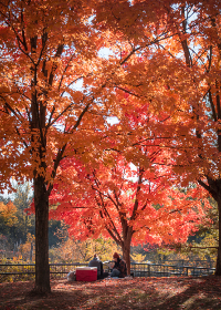 4场进球最新开奖结果查询与历史数据分析