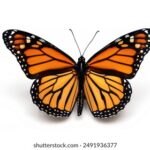 jk185开奖结果揭晓,最新中奖号码公布 al95o3fdf