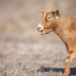 JRS乐球直播:畅享高清赛事,尽在指尖 mu87d8r0