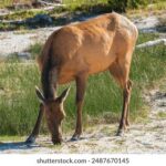 J2开奖现场直播全程高清实况转播 qhfdt