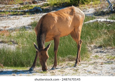 J2开奖现场直播全程高清实况转播